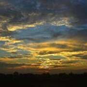 ヒメ日記 2026/03/16 10:38 投稿 伊藤 るな 横浜ダンディー