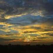 ヒメ日記 2026/03/16 10:56 投稿 伊藤 るな 横浜ダンディー