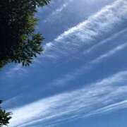 ヒメ日記 2026/03/29 12:24 投稿 伊藤 るな 横浜ダンディー