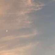 ヒメ日記 2026/04/07 04:19 投稿 伊藤 るな 横浜ダンディー