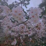 ヒメ日記 2026/04/04 08:00 投稿 りりな 奥様の実話 谷九店