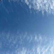 ヒメ日記 2026/03/24 06:17 投稿 こはく ママれもん錦糸町店