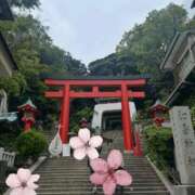 ヒメ日記 2026/04/20 10:47 投稿 こはく ママれもん錦糸町店