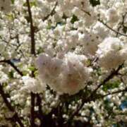 ヒメ日記 2026/04/16 13:53 投稿 さつき オナクラ大人女子