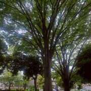 ヒメ日記 2026/05/25 13:39 投稿 さつき オナクラ大人女子