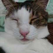 ヒメ日記 2026/02/22 15:00 投稿 なつき Respect