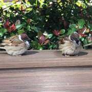 ちなつ ちなつです^ ^ あげまん 西中島店