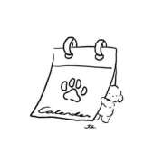 ヒメ日記 2026/02/03 22:02 投稿 野田いおり★すらりと細い美脚♪ PLAY