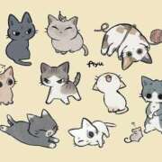 ヒメ日記 2026/02/22 22:59 投稿 野田いおり★すらりと細い美脚♪ PLAY