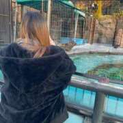 ヒメ日記 2026/02/25 06:30 投稿 野田いおり★すらりと細い美脚♪ PLAY