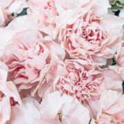 るあ はじめまして🌸 名古屋名駅・栄サンキュー