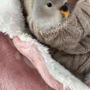 ヒメ日記 2026/02/09 08:29 投稿 りこ☆天性ドエロ変態痴女 Blue Moon