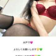 ヒメ日記 2026/04/28 17:21 投稿 スージー 日暮里・西日暮里サンキュー