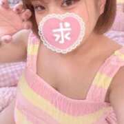 ヒメ日記 2026/09/25 14:05 投稿 うさぎ knit(ニット)