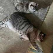 ヒメ日記 2026/03/12 03:48 投稿 ノア ウルトラロイヤル