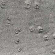 ヒメ日記 2026/02/24 16:21 投稿 くじら 淫乱痴女エステ新宿店