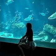 ヒメ日記 2026/03/31 23:33 投稿 さくらこ 素人美少女専門　新横浜アンジェリーク（アンジェリークグループ）