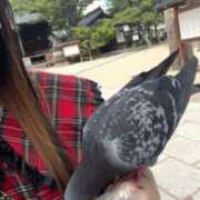 ヒメ日記 2026/05/06 17:52 投稿 さくらこ 素人美少女専門　新横浜アンジェリーク（アンジェリークグループ）