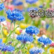 ヒメ日記 2026/02/18 10:12 投稿 岡田鈴音 五十路マダム　和歌山店