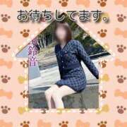 ヒメ日記 2026/02/20 18:14 投稿 岡田鈴音 五十路マダム　和歌山店