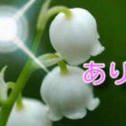 ヒメ日記 2026/03/06 23:54 投稿 岡田鈴音 五十路マダム　和歌山店