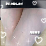 ヒメ日記 2026/03/30 12:48 投稿 岡田鈴音 五十路マダム　和歌山店