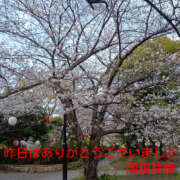 ヒメ日記 2026/04/03 22:18 投稿 岡田鈴音 五十路マダム　和歌山店