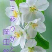 ヒメ日記 2026/04/18 12:42 投稿 岡田鈴音 五十路マダム　和歌山店