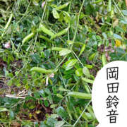 ヒメ日記 2026/04/23 12:28 投稿 岡田鈴音 五十路マダム　和歌山店