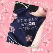 ヒメ日記 2026/09/16 16:42 投稿 岡田鈴音 五十路マダム　和歌山店