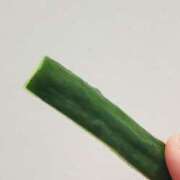 ヒメ日記 2026/03/17 13:44 投稿 依恋／いこい 大宮人妻セレブリティ（ユメオト）