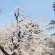 ヒメ日記 2026/03/30 10:12 投稿 依恋／いこい 大宮人妻セレブリティ（ユメオト）