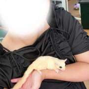 ヒメ日記 2026/09/15 17:50 投稿 くじら 淫乱痴女エステ　上野店