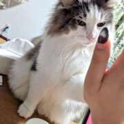 ヒメ日記 2026/03/13 12:55 投稿 ちえ ぷるるんギャング