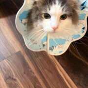 ヒメ日記 2026/03/14 16:15 投稿 ちえ ぷるるんギャング