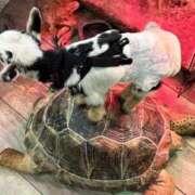 ちえ お久しぶりです😊 ぷるるんギャング