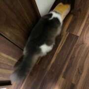 ちえ ごめんなさい(´；ω；｀) ぷるるんギャング