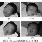 やまだ お4月のお出勤予定 buzz-B