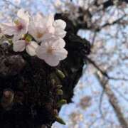 ヒメ日記 2026/03/28 10:14 投稿 のどか 元町奥さま