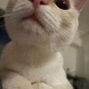 ヒメ日記 2026/02/04 09:51 投稿 さや☆新QUEEN爆誕 Ace(エース)