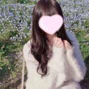 ヒメ日記 2026/04/12 17:15 投稿 ちわわ 金瓶梅(きんぺいぱい)(雄琴)