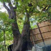 ヒメ日記 2026/02/07 00:39 投稿 まり 西船巨乳ぽっちゃり　乳神さま