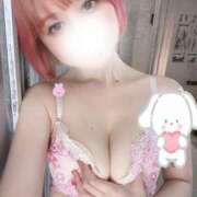 ヒメ日記 2026/02/10 06:46 投稿 大木ここ 華椿