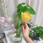 大木ここ 引きこもりの日??? 華椿