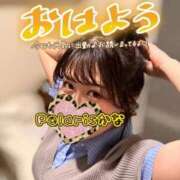ヒメ日記 2026/05/01 08:42 投稿 かな Polaris（ポラリス）