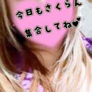 ヒメ日記 2026/02/06 11:50 投稿 さわ さくらん