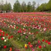 ヒメ日記 2026/04/22 18:32 投稿 新山さや コウテイ