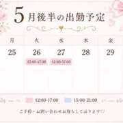 ヒメ日記 2026/05/26 09:45 投稿 新山さや コウテイ