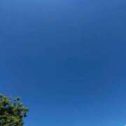 ヒメ日記 2026/06/04 07:17 投稿 新山さや コウテイ