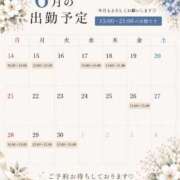ヒメ日記 2026/06/14 07:15 投稿 新山さや コウテイ